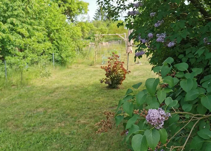 Friedenfelder Nest