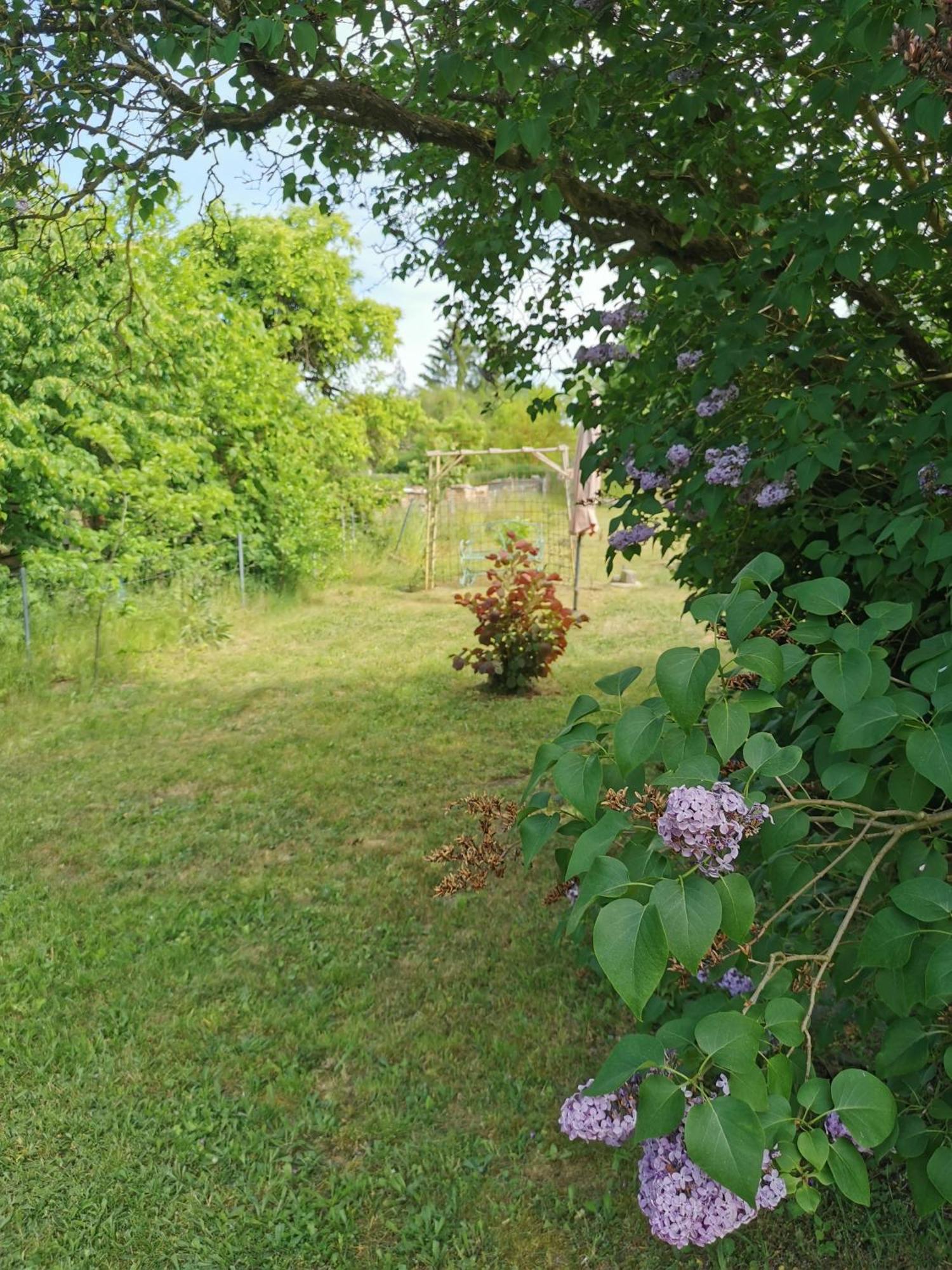 Apartment Friedenfelder Nest Gerswalde