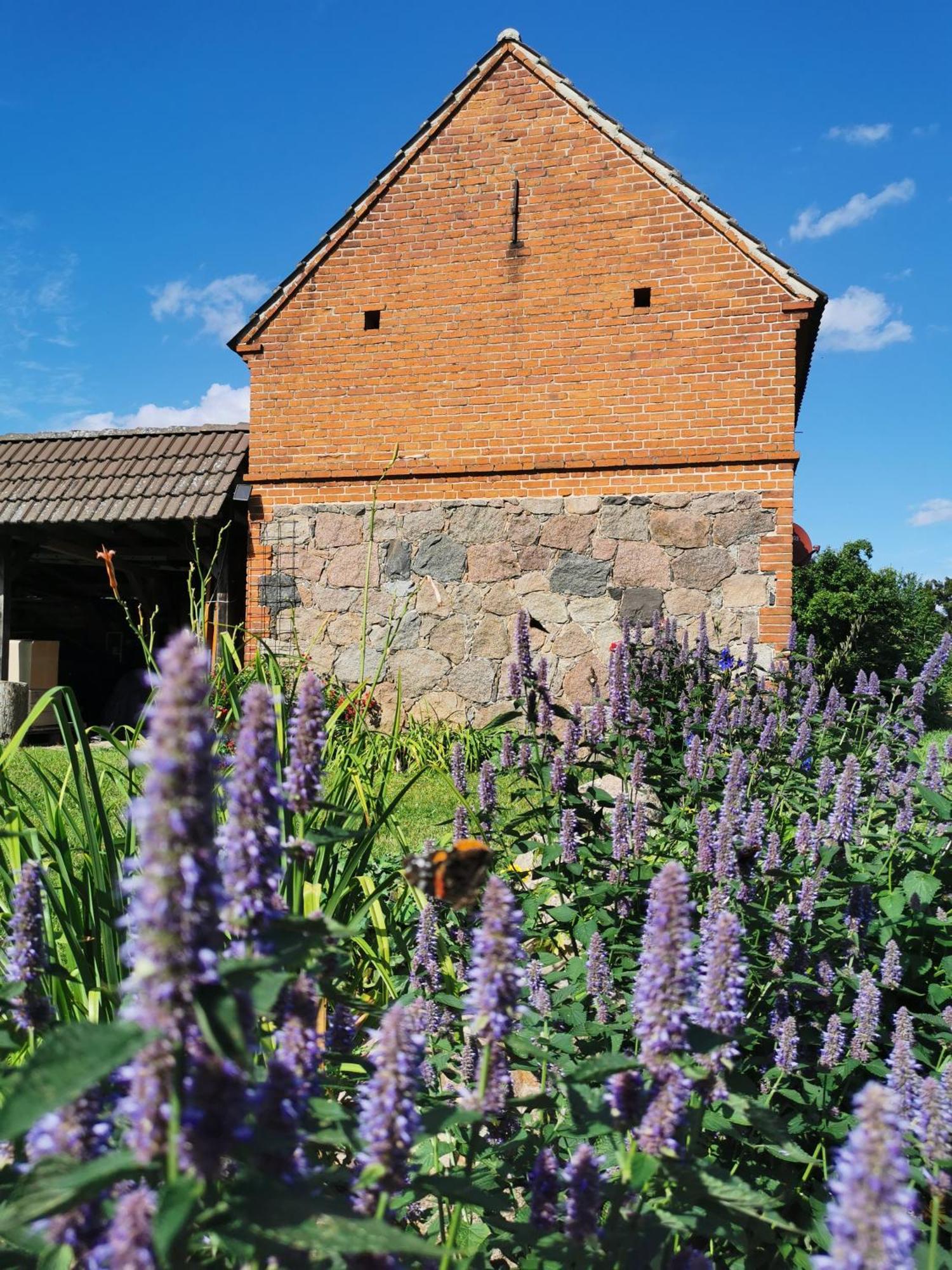Friedenfelder Nest Gerswalde